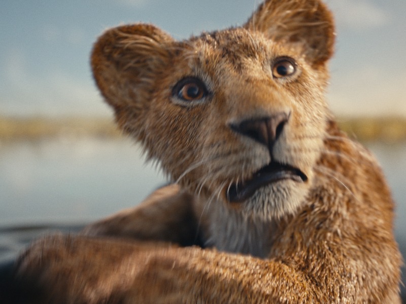 MUFASA – AZ OROSZLÁNKIRÁLY - amerikai animációs film, kalandfilm, 2024