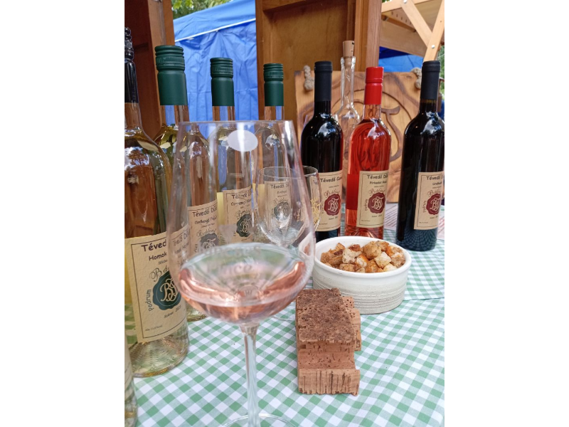 ВИНСКА ВЕЧЕРА ПОВОДОМ ДАНА СВЕТОГ МАРТИНА