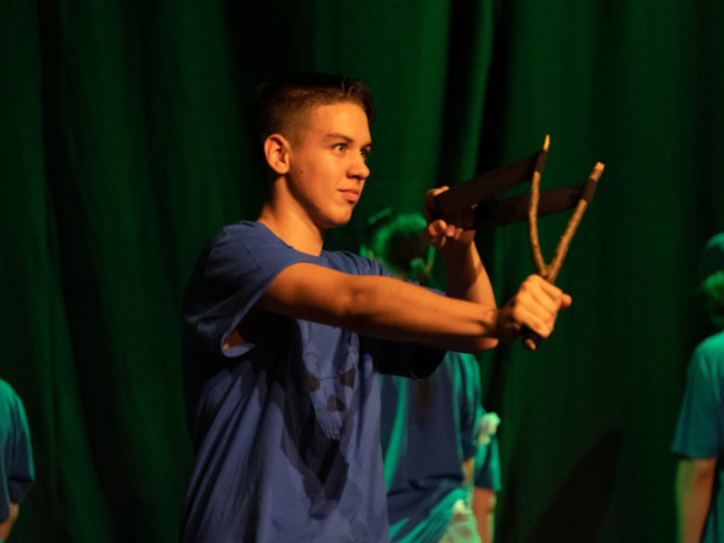 ЏЕСПЕР ХЕЛ: МАЛА ШУМА