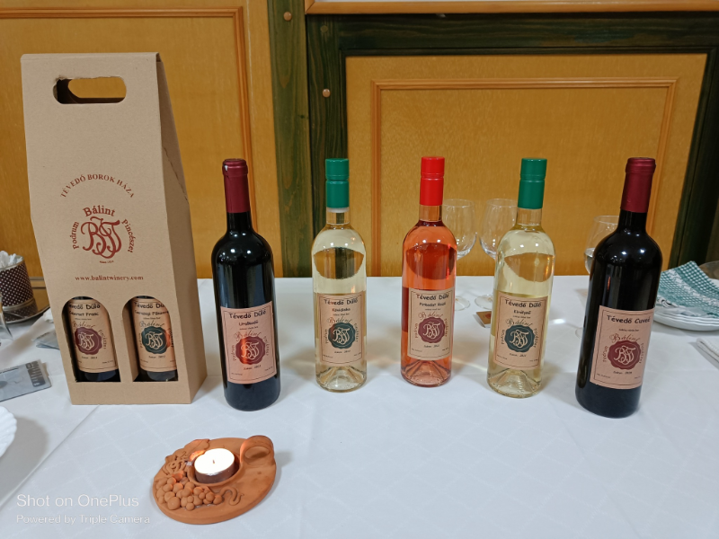 VINCE-NAPI BORVACSORA