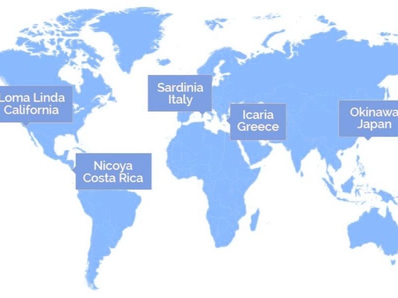 ВЕГАНСКИ КУЛИНАРСКИ КРУГ