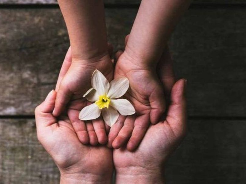 HATALKALMAS KAPCSOLÓDÓ NEVELÉS SZÜLŐCSOPORT