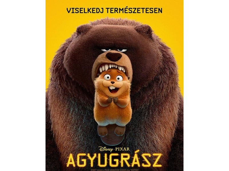 AGYUGRÁSZ