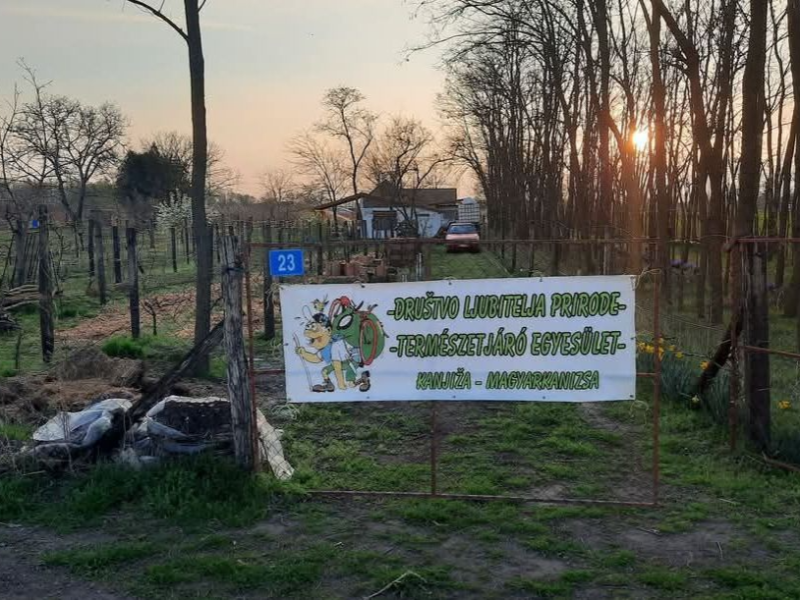 TAVASZKÖSZÖNTŐ GYALOGTÚRA KISHOMOKRA