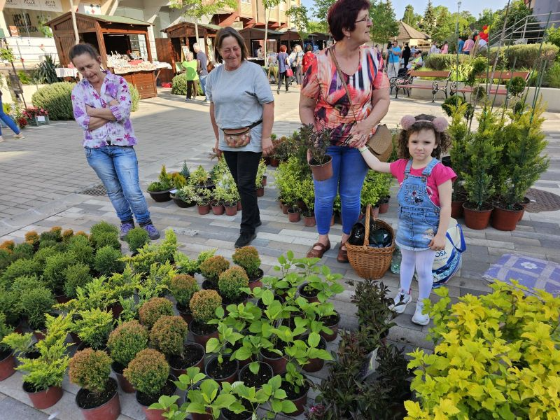 ПРОЛЕЋНИ ВАШАР ЦВЕЋА И РУЧНИХ РАДОВА