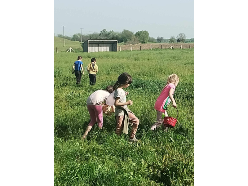 ПОЛИВАЊЕ И ТРАЖЕЊЕ УСКРШЊИХ ЈАЈА