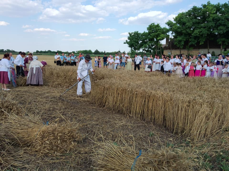 XXXV ЖЕТЕЛАЧКА ПРОСЛАВА