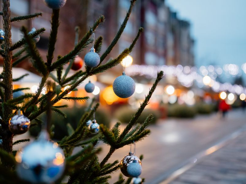 БОЖИЋНИ ВАШАР КЊИГА